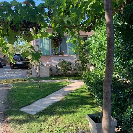 Confort Avec Piscine Privée Villa Ventiseri